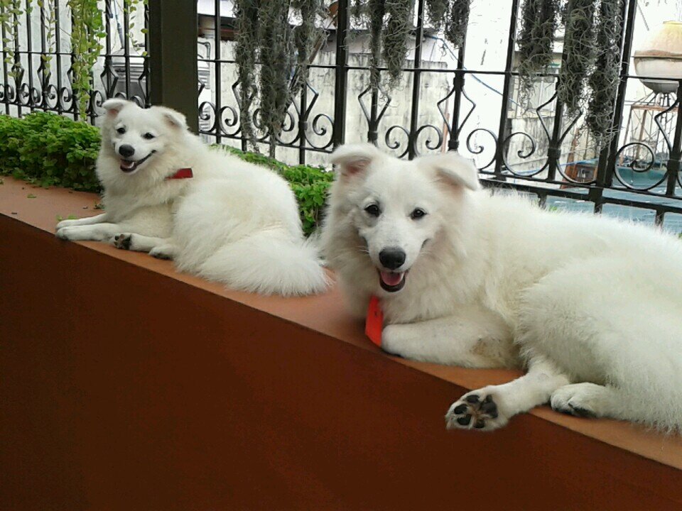 synn1450's profile picture. 