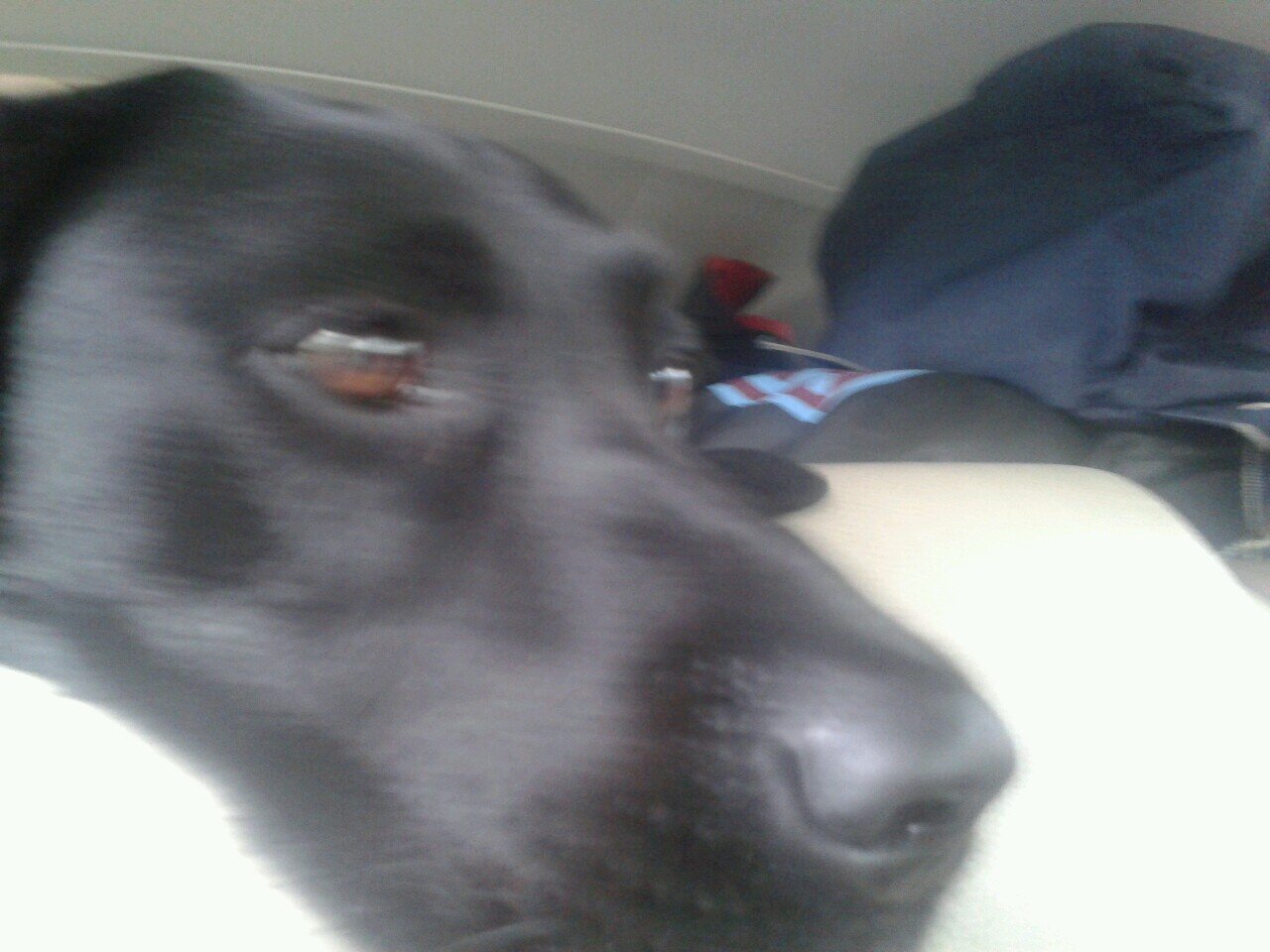 westham50's profile picture. 