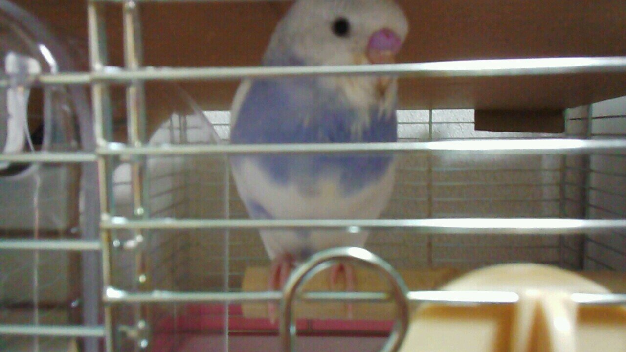 アリスさんのプロフィール画像
