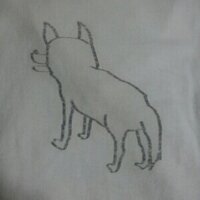 ザキ生 (@zakkinama) Twitter profile photo