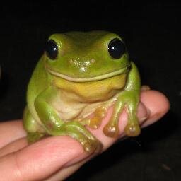 Scientist, but this is a personal account. I follow friends & a few interesting others. I tweet random life stuff & retweet anything interesting: often science.