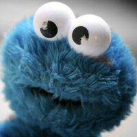 Niamh Thornton (@turtlesrule111) 's Twitter Profile