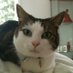 Mel (@melmelanies) Twitter profile photo Mel (@melmelanies) Twitter profile photo