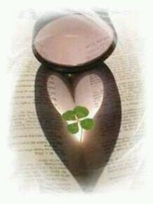 aaaaaaami0313's profile picture. ※サブ垢                                                                                       フォロワー要りません。