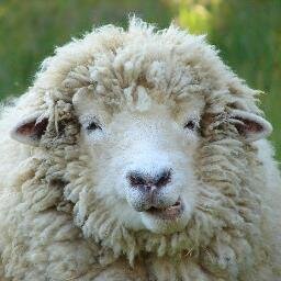 Chobahn's profile picture. I apologise in advance....