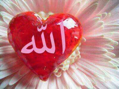 Orang2 yg beriman & hati mereka menjadi tenteram dgn mengingat Allah. Ingatlah dgn mengingat Allah-lah hati menjadi tenteram |QS. Ar-Ra'du: 28|