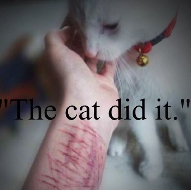 Death15aPromise's profile picture. Self Harm | Suicidal | Depression | Anxiety | ED | Schizophrenia | Please don't worry about me I'll be dead soon