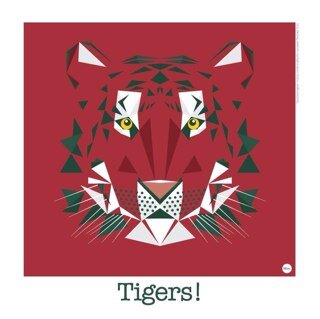 tigerlover85's profile picture. dual Aussie/Brit nurse who travels a lot /  YouTube channel - penguinvacay for small travel clips