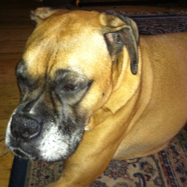 mels0819's profile picture. 