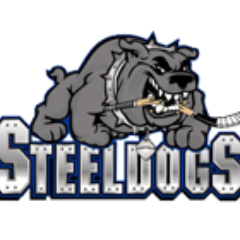 Sheffield Steeldogs Ice Hockey Academy is an opportunity for youngsters between age 16-19 to develop as a professional Ice Hockey players.
