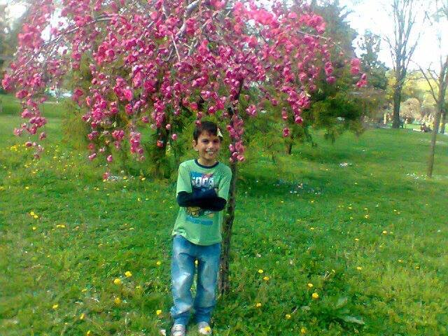 BugraBugraa's profile picture. pilot  bugra