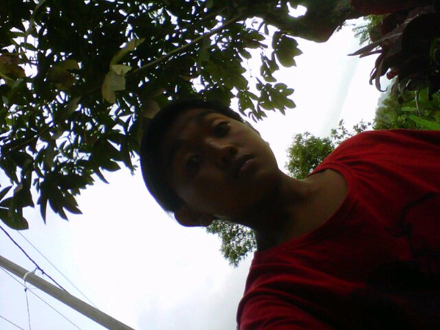Look