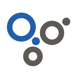 Business Intelligence solutions, Web application development, Mobile application development.