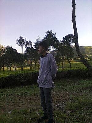 single woles :)