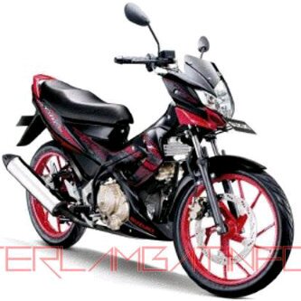Vionericher FU