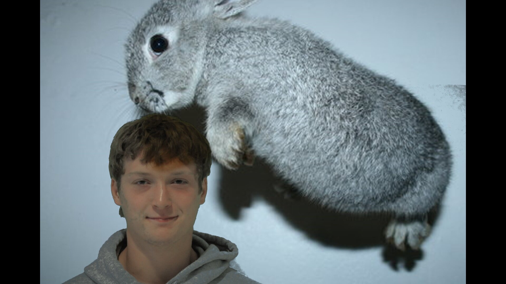 heathballz's profile picture. im doing it