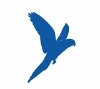 Dedicated to the wellness of birds, rabbits, ferrets, rodents, reptiles and other exotic pets.
Phone: 416-223-1165
E-mail: ExoticVetsToronto@gmail.com