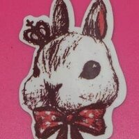 na★na (@nnekbystarabbit) 's Twitter Profile Photo