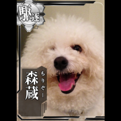 Jf ちょうど第四艦隊も解放できたので 軽2駆4で1 2回して第二の五月雨集めの旅に出てる 艦これ Jf ちょうど第四艦隊も解放できたので 軽2駆4で1 2回して第二の五月雨集めの旅に出てる 艦これ