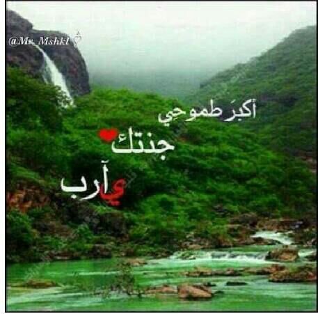 ‏قدمي في الأرض وعيني على الجنةة