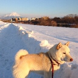 あ〜た〜らしいあ〜さがきた