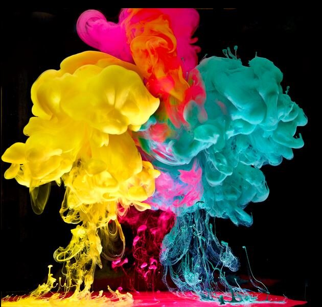 VVVVWHAT's profile picture. Film Director.