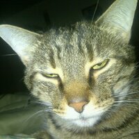 Jeff Sabo (@sabo_jeff) 's Twitter Profile