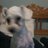 maruhope94's profile image