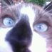 Caldicho (@gerarrioscuro) Twitter profile photo Caldicho (@gerarrioscuro) Twitter profile photo