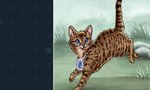 im in Mistclan , im 6 moons old tom, #single
