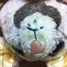 umamistmimimimi's profile picture. エガちゃんねる🦝ＤＴテレビ🦝株式会社たけのこ🦝タキシードサム🦝Lamp