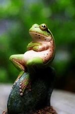 TechuPakalDjedi's profile picture. On the Quest to Find My Self and My Seed Back Home...Love this Planet..Seek those that Seek Wisdom & Understanding.Peace,Love,Joy,Prosperity,Equality & Balance.