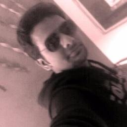 Software Developer