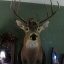 Jim ogden - @wjogden1 - Twitter