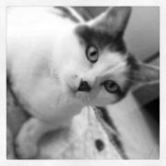 Sissy070's profile picture. 