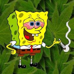 druugs!  apenas zoação hein pessoal! @ClubeFollowBack
sou uma menina!