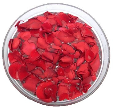 faylneflowers's profile picture. 