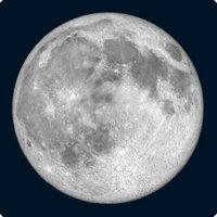 moon (@yamai_moon) Twitter profile photo