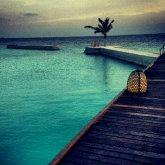 اعط من حولكك فرحآاا تجد صدآه في قلبكك♡