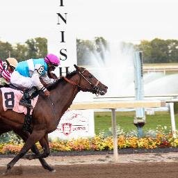 Rockfield Farm.  Home of IN Sired Ms. Smitty.   2013 Older Mare of the Year