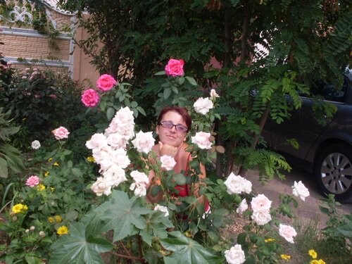 dzheymsshk777's profile picture. 