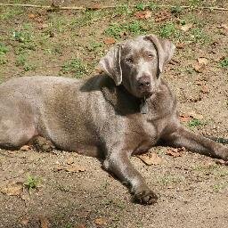 BonhamEa's profile picture. 