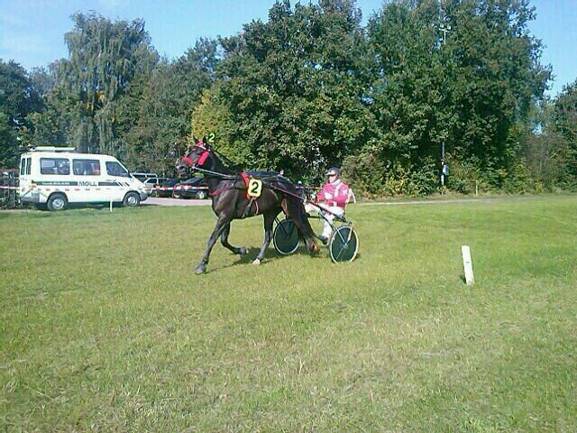 FRegtop's profile picture. 