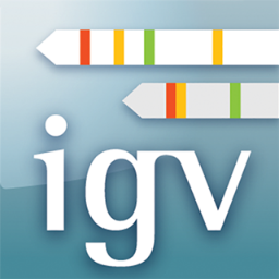 IGV Team