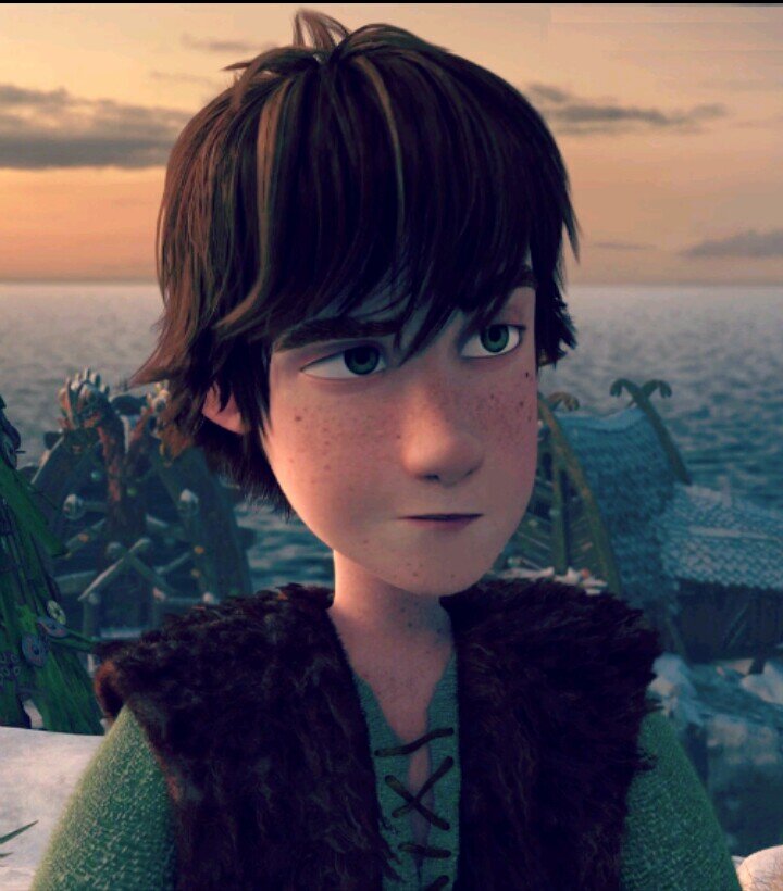 Hiccup H.Haddock III. But you can Just call me Hiccup. I live in Berk, where it snows 9 months out of the year, and hails the other 3.