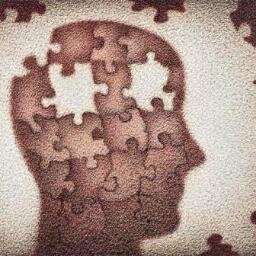 Frases, chistes, filosofia, experiencias y reflexiones de tu vida diaria... ¡Siganme los buenos!