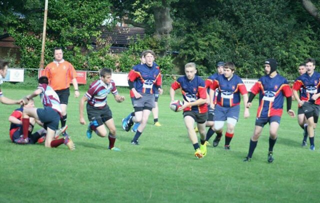 brownie670's profile picture. 