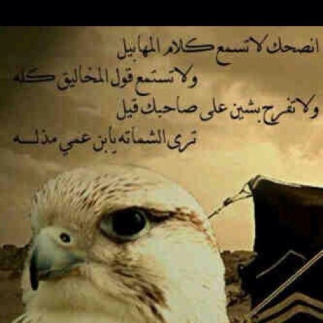 حساب شاعر / @GaNTeL_ يستحق المتابعه (( زورو المفضله ))
