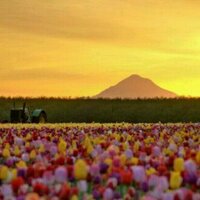 *استغفرالله* (@taiff_66) Twitter profile photo