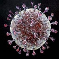 Erik Hasenoehrl (@biochemiphile) 's Twitter Profile